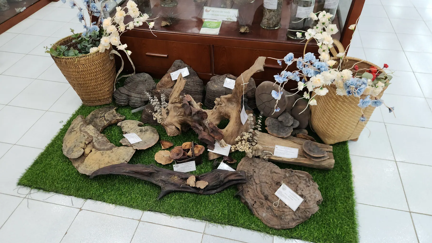 Không gian trưng bày tài nguyên dược liệu